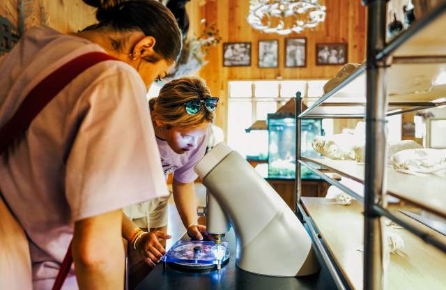 Educational Opportunities for Students in the Branson Area