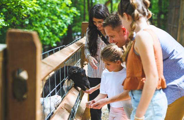 Edited Shepherd of the Hills Family Spring Attraction Outdoors