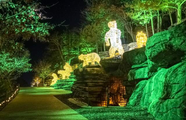 Drive Through Christmas Light Tour in Branson