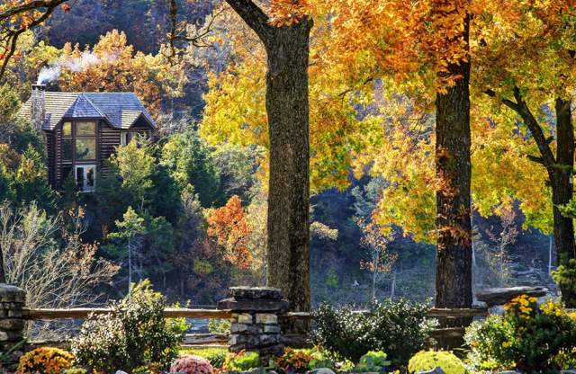 8 Cozy Cabins and Lodges in Branson