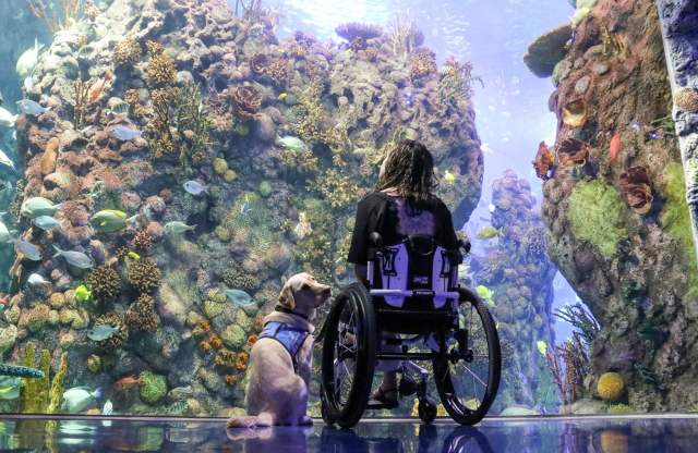 Going the Extra Mile: A Guide to Accessibility in Branson 