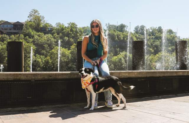 The Ulti-Mutt Pet Friendly Weekend 