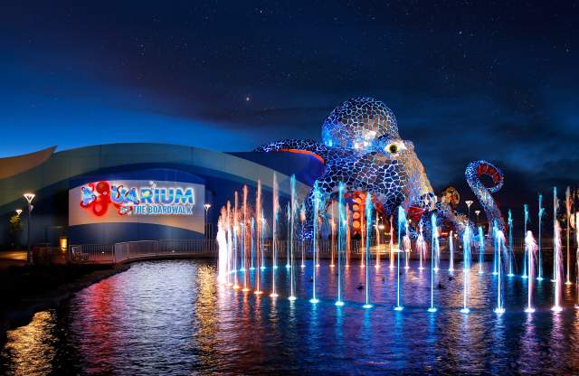 Aquarium at the Boardwalk Attraction 2026