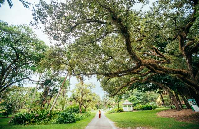 Woman walking along path at Flamingo Gardens Botanical Garden and Everglades Wildlife Sanctuary