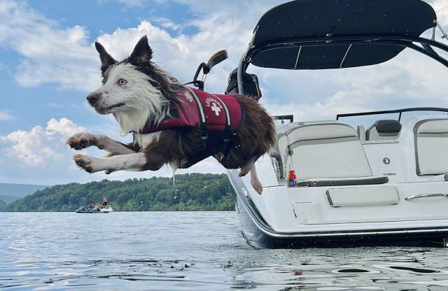 a long haired in a life jacket jumping into the water from the boat