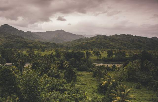 5 Best Places To Enjoy Blue Mountain Coffee with Stunning Views