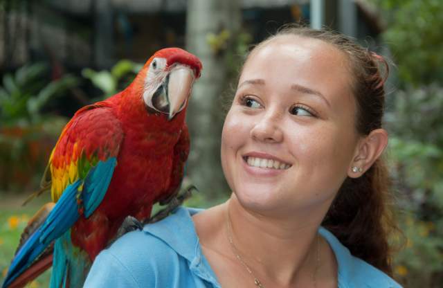 Parrot and Girl