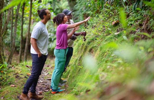 Community Tourism - Hiking at Holywell, Blue Mountains