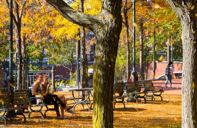 Fall in Providence