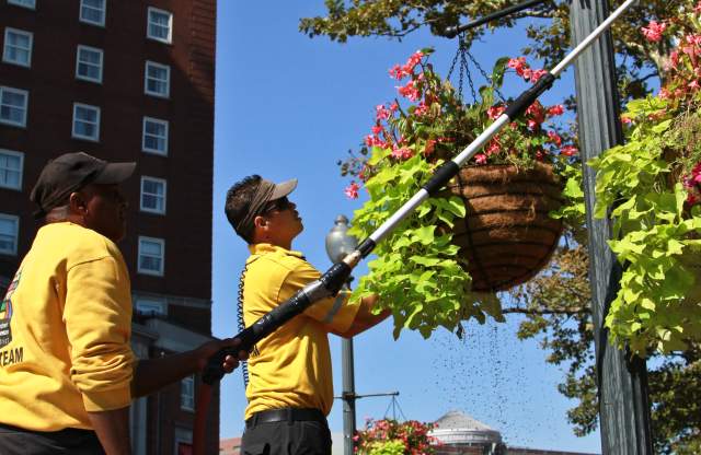 Crew Planting Flowers in Downtown Providence, RI