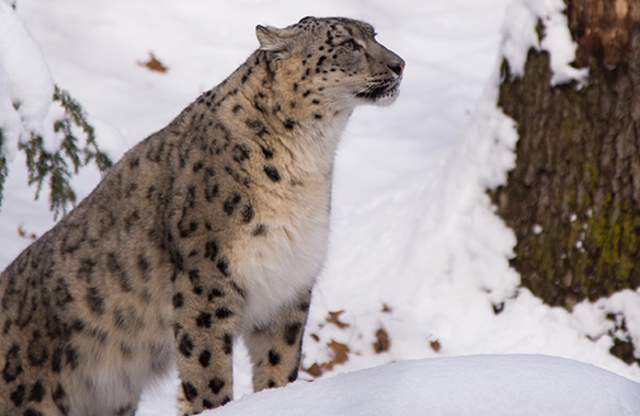Winter Fun at Roger Williams Park Zoo!