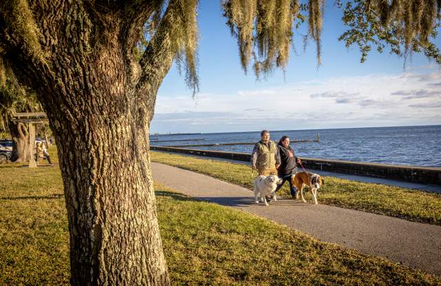 Top Dog Parks & Pet-Friendly Activities on The Northshore