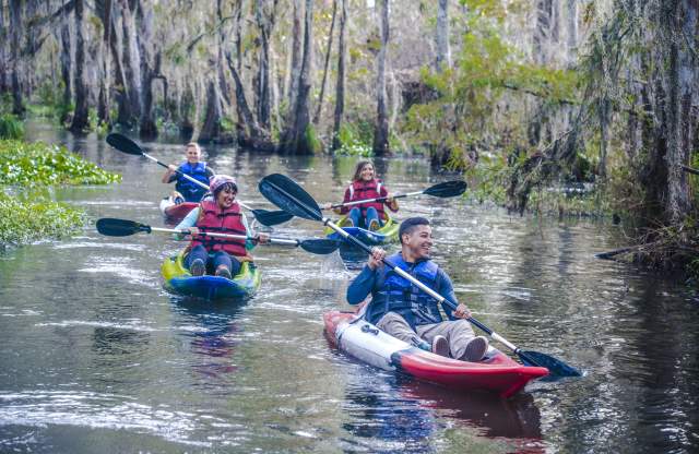 Fall on the Water: Kayaking and Paddleboarding
