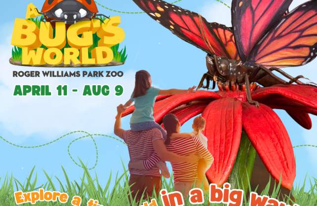 A Bug's World at Roger Williams Park Zoo