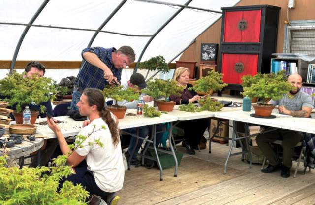 Bonsai Essentials 1:  Beginner Workshop with Peter Olson