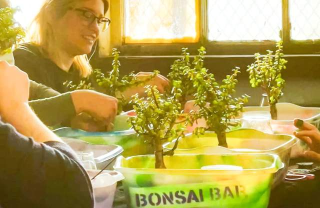 Bonsai Bar Workshop at Jordan's Jungle