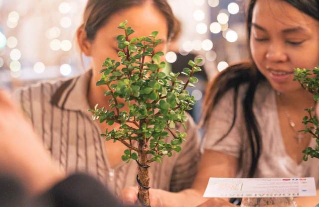 Bonsai Workshop at Narragansett - Providence Brewery