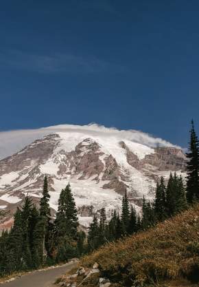 mount rainier national park mountain