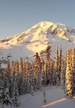 Winter at Paradise at Mount Rainier