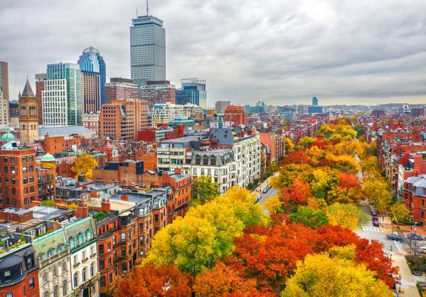 Commonwealth Ave in Fall