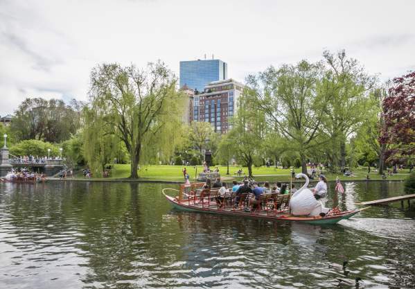 Swan Boats in Public Garden Lagoon