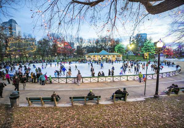 Frog Pond Ice Skating with Common Lights