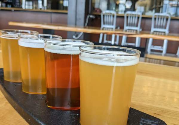 Flight of beers at Harpoon Brewery