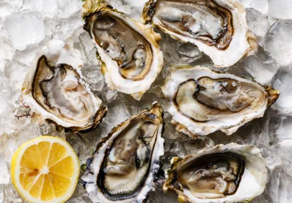 $1 Oyster Mondays