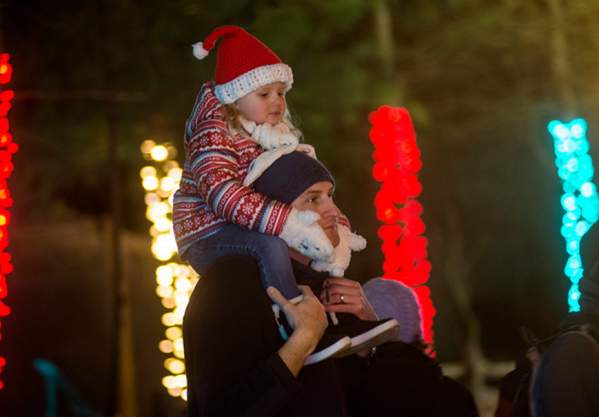 ZooLights at Stone Zoo