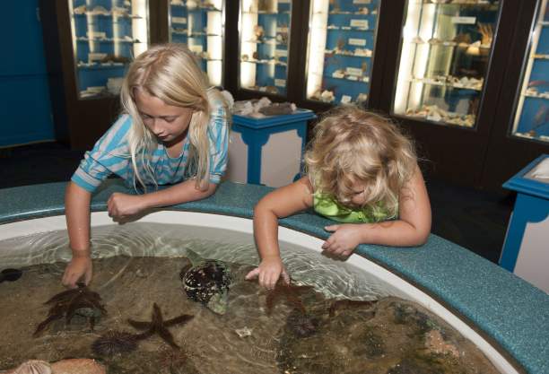 Children at the touch tank at the Museum of Coastal Carolina on Ocean Isle Beach