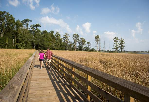 Nature trail and walkway overlooking the Brunswick River