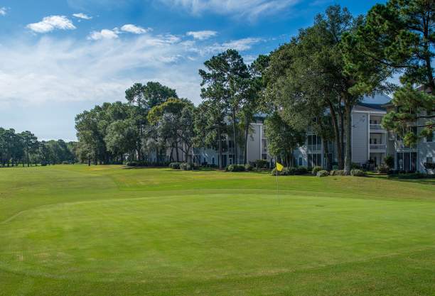 a golf course green with golf-front condos in the background at Sea Trail Golf Resort