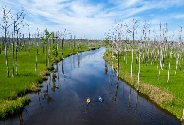 an aerial view of two kayaks on a river