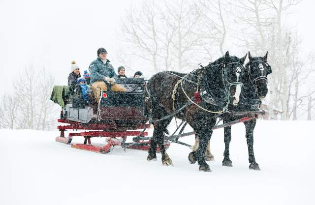 Experience a Magical Moment on a Family Sleigh Ride in Park City