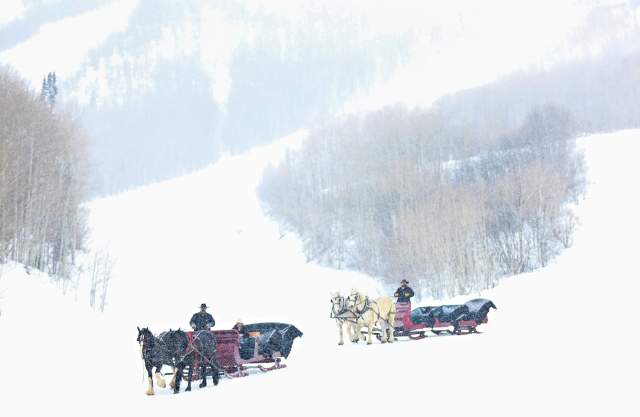 Snowed Inn Sleigh Ride and Dinner is a Unique Park City Experience for the Whole Family