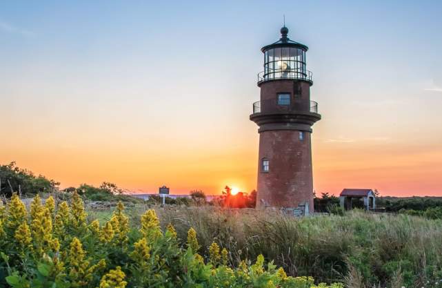 Gay Head Lighthouse with Flowers