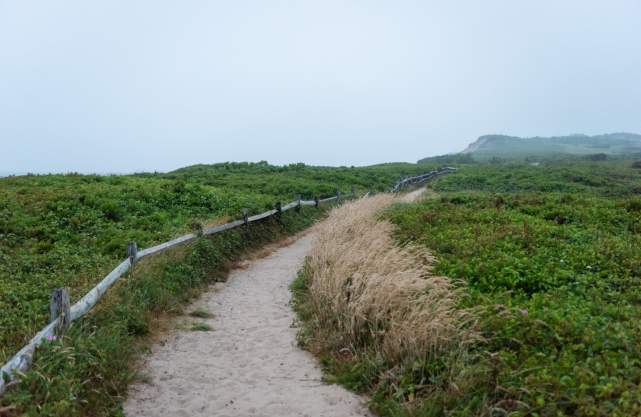 sandy path