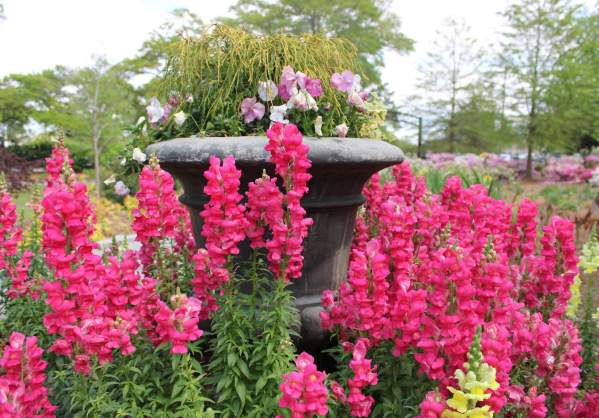 Montgomery Botanical Gardens at Oak Park