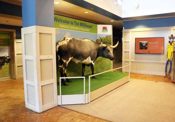 The MOOseum