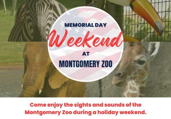 Memorial Day Holiday and Weekend at the Zoo