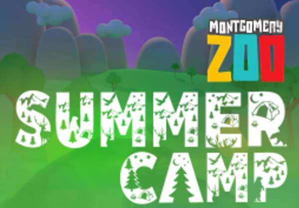 Zoofari Summer Camp