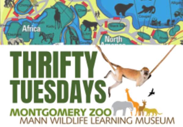 Thrifty Tuesdays at the Montgomery Zoo