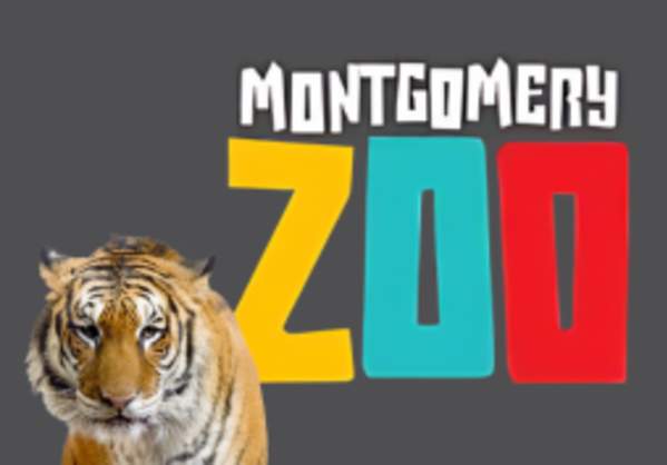 Juneteenth Holiday at the Zoo