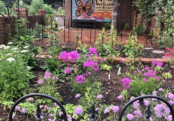 Old Cloverdale Community Garden