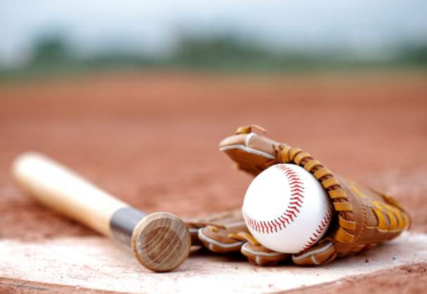 Bedford Township Fields