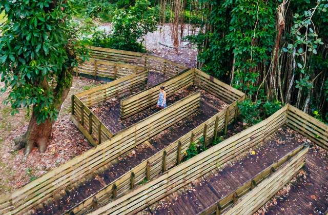 Woman walking down wooden descending pathway in the trees