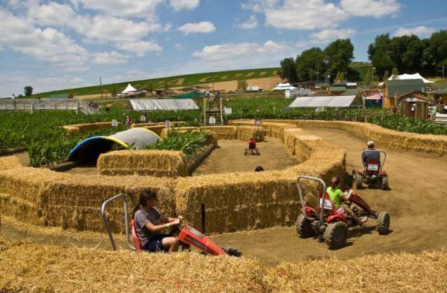 Adults and kids riding mini cars in a hay bale obstacle course at a farm