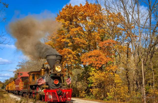 A locomotive train with fall foliage filled trees in the background
