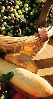 Exploring Temecula Through Its Olive Oil Experiences