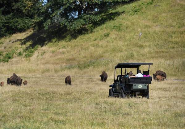 Keeper Adventure Tour at Northwest Trek